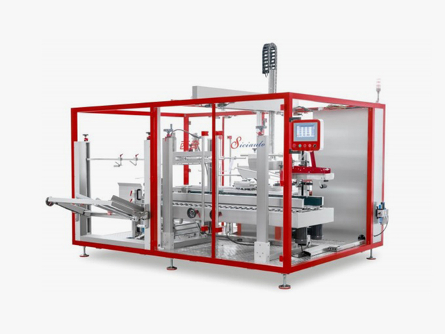 Vertical-Type-Automatic-Case-Packer-XQ-ZX755